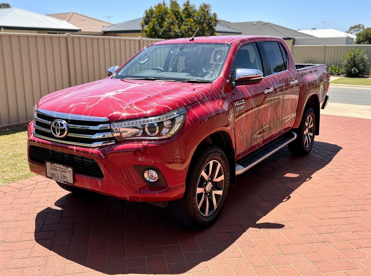 Before Paint Correction