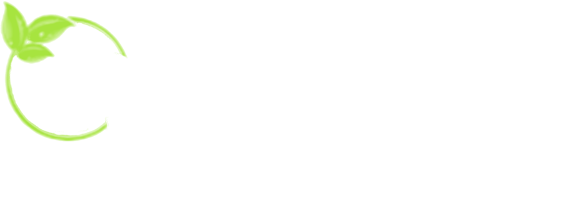 Mobile Car Valet Tauranga