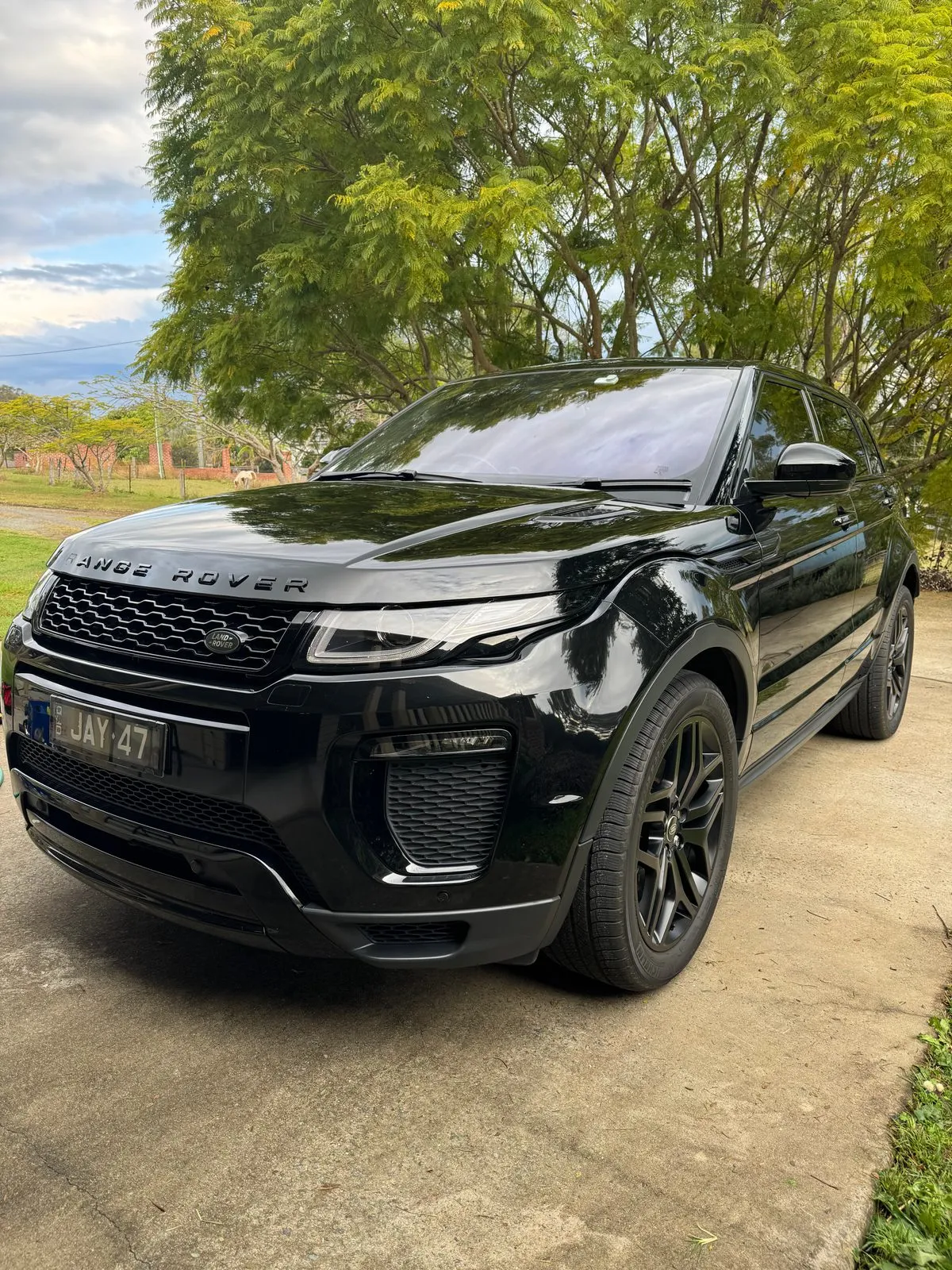 Black Range Rover Evoque detailed by Soaked Detailing in Beaudesert